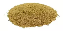 AMARANTO 5 KG