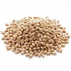 CEBADA PERLADA 5 KG