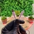 Cabo Tipo C/ Lightning Iphone - loja online