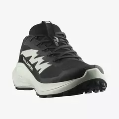 Zapatillas Alphaglide M Salomon en internet