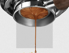 PORTAFILTRO NAKED DESNUDO OSTER BARISTA FUEGO 58mm en internet