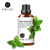 ÓLEOS ESSÊNCIAS PARA AMBIENTE 100% NATURAL - RapidStore