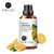 ÓLEOS ESSÊNCIAS PARA AMBIENTE 100% NATURAL - RapidStore