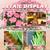 Mini Sakura Tree House Blocos de Construção, Flor de Cerejeira - loja online