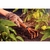 Rastrillo de jardín - comprar online