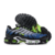 Air Max Plus TN 1 “Icons”