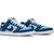 Tênis Nike Dunk Low SB The Predatory Bird - comprar online
