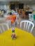 Decoração do Safari - loja online