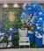 Decoração - Sonic