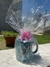TAZAS PARA REGALO - tienda online
