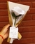 Rosa Blanca