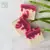 Sabonete Natural Coco e Lavanda - comprar online