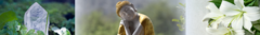 Banner da categoria Harmonia