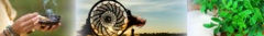 Banner da categoria Limpeza Energetica