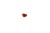 Imagem do Cristal Natural: Cornalina (Rolado)