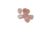 Cristal Natural: Quartzo Rosa (Rolado) - loja online