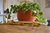Incenso Goloka Massala - Gaia - comprar online