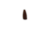 Incenso Cone Goloka Ayurvedic - Salvia Branca - loja online