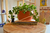 Incenso Vila Zen Natural - Rosas