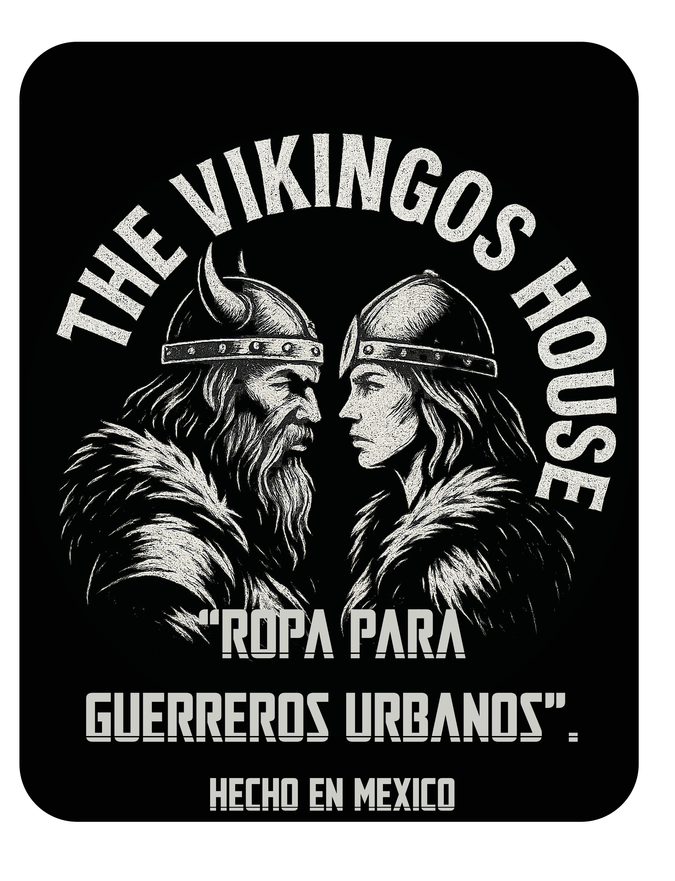 The Vikingos House