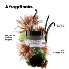 L'Oréal Professionnel Absolut Repair Molecular Máscara Capilar 250ml na internet