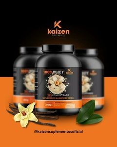 TOP WHEY GOLD CONCENTRADO | SABOR BAUNILHA | 900G - comprar online
