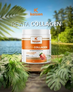 Imagem do REVITA COLLAGEN | 300G | COLÁGENO HIDROLISADO E ÁCIDO HIALURÔNICO