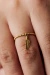 Anel Pena Coliseu 18k - comprar online
