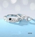Anillos Pareja 8