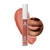 FUA FUA – LIQUID POUTY LIPS – LABIAL LÍQUIDO LARGA DURACIÓN