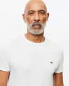 Remera Lisa de Pima Lacoste