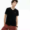 Remera Lisa de Pima Cuello V Lacoste