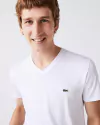 Remera Lisa de Pima Cuello V Lacoste