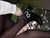 Botas
