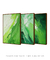 Conjunto de 3 Quadros Decorativos Abstrato Verde Mar - Garagem dos Quadros