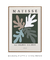 Quadro Decorativo Pintor Henri Matisse 266 na internet