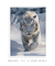 Quadro Decorativo Tigre branco na neve 02 - loja online