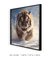 Quadro Decorativo Tigre de Bengala na Neve - comprar online