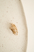 PIERCING GRACYN - loja online