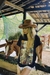 T-shirt Born Free - Limited pieces. Wild hearts only. - Las Mareadas Colombia