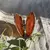Borboleta em Ágata Vermelha - comprar online