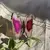 Borboleta em Ágata Rosa - comprar online