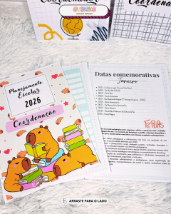 Planejamento Escolar 2026 – Coordenação Escolar - comprar online