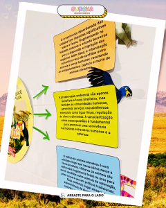 Kit Professor Animais da Fauna na internet