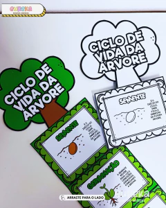 Atividade Ciclo de Vida da Árvore na internet