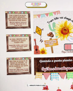 KIT PAINEL CONSELHO DE CLASSE TEMA JUNINA na internet
