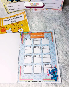 PLANNER PROFESSOR 2026 - STICH na internet
