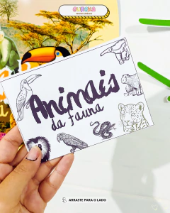 Kit Professor Animais da Fauna na internet