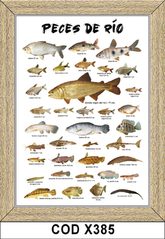 Deportes Pesca COD - X385 - comprar online