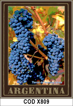 CUADROS Vinos COD-X809 - comprar online